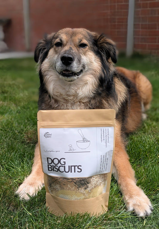 SALE - Dog Biscuit Mix - Pumpkin Spice!